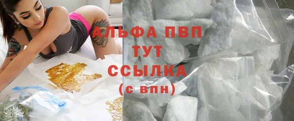 шишки Алзамай