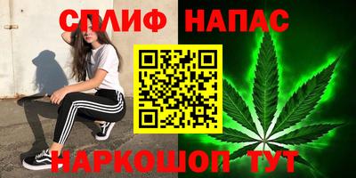 индика Ачхой-Мартан
