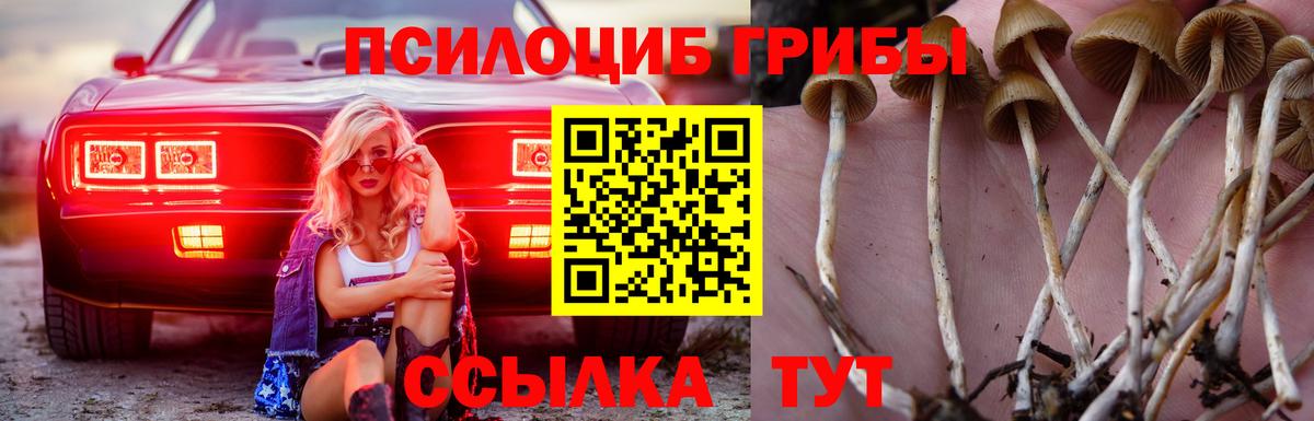 Галлюциногенные грибы мицелий  Псилоцибиновые грибы Cubensis  Шатура  Вход с VPN 