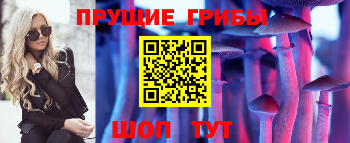 Псилоцибиновые грибы Psilocybe Шатура